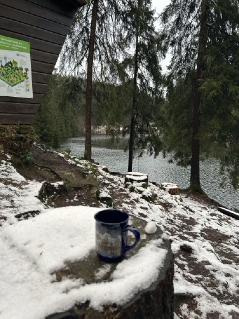 Wanderung_Grumbachteich